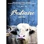 Bestiaire <b>DVD</b> ~ Lion
