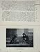 1901 Tuner Tippler Rough Welsh Hounds Dogs Photograph