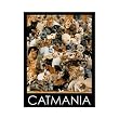 Cat Mania