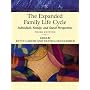 The Expanded Family Life Cycle: Individual, Family, and Social Perspectives (An Allyn & Bacon Classics Edition) (3rd Edition) (Allyn and Bacon Classics in Education)