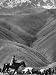 Cowboy Driving Dispirited Cows to Mountain Pastures Photographic Poster Print by Stan...