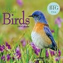 Backyard Birds 2010 Big Print Calendar