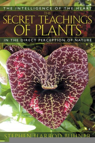 The Secret Teachings of Plants: The Intelligence of the Heart in the Direct Perception of Nature [Paperback] [2004] (Author) Stephen Harrod Buhner