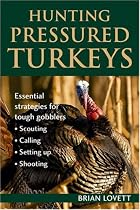 Hunting Pressured Turkeys