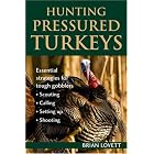 Hunting Pressured Turkeys by  Brian Lovett
