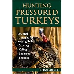 Hunting Pressured Turkeys