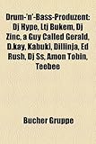 Drum-'N'-Bass-Produzent: DJ Hype, Ltj Bukem, DJ Zinc, a Guy Called Gerald, D.Kay, Kabuki, Dillinja, Ed Rush, DJ SS, Amon Tobin, Teebee-