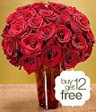 Red Roses