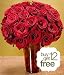 Red Roses