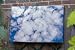 Kitchen & Housewares : Clouds Outdoor Artwork