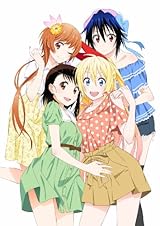 ニセコイ14 アニメDVD付予約限定版 (ジャンプコミックス) 