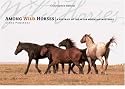 Among Wild Horses: A Portrait of the Pryor Mountain Mustangs