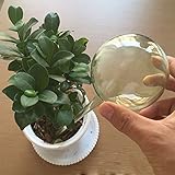 Lautechco 自動給水装置を散水ガラス球 花水遣りツール (100mm)