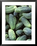 Cucumbers Framed Art Poster Print, 25x31 51jea70LQwL. SL160 Cucumbers Framed Art Poster Print, 25x31