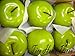 ARTIFICIAL FAKE FRUIT PLASTIC GREEN APPLE 1 PC APPLE