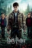 Harry Potter And The Deathly Hallows: Part 2 - Movie Poster (Regular Style) (Size: 22