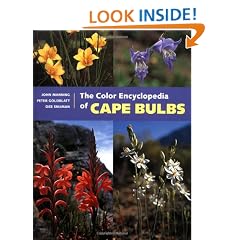 The Color Encyclopedia Of Cape Bulbs
