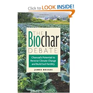 Click here to buy The Biochar Debate: Charcoal's Potential to Reverse Climate Change and Build Soil... by James Bruges.