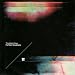 Black Dog - 