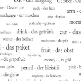 250 German Vocabulary Words Shower Curtain
