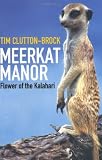 Meerkat Manor