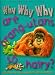 Why Why Why Are Orang-utans So Hairy?