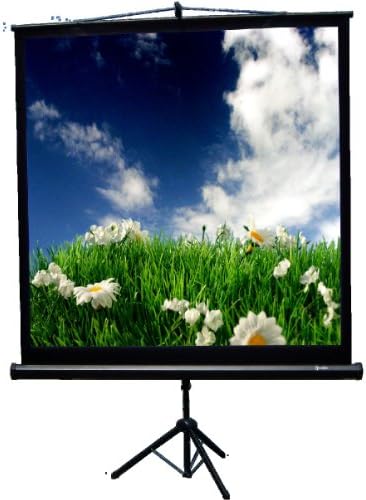 Recordex TriMaxx Portable Tripod Projection Screen 80"x80" Matte White