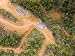 Industrial Logging Operation is Deforesting This Virgin Rain Forest, Madagascar Places Photographic Poster Print by Michael Fay, 32x24