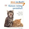 Katzen richtig verstehen. Was Ihre Katze Ihnen sagen will