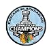 Chicago Blackhawks 2010 NHL Stanley Cup Champions Round Photoart Collectible Pin