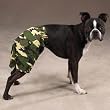 LARGE - GREEN - Dog Camo Cotton Shorts