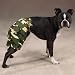 X-SMALL - GREEN - Dog Camo Cotton Shorts