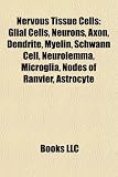 Nervous Tissue Cells: Glial Cells, Neurons, Axon, Dendrite, Myelin, Schwann Cell, Neurolemma, Microglia, Nodes of Ranvier, Astrocyte