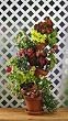 Flip Flop Flower Pot 301W Stackable Plant Stand
