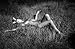 Brian Bowen Smith: Projects