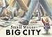 Small Mouse Big City