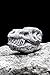 Whiskey Bones Whiskey Stones Granite TRex Skulls (Set of 2)