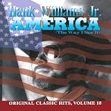 America (The Way I See It), Vol. 18