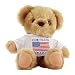 Patriotic Plush Bear