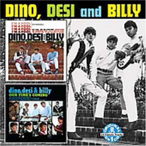 Dino, Desi & Billy - Billboard Top 100 of 1965 - Zortam Music