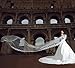 Loveshop 1 Layer Tulle Scalloped Edge Wedding Bridal Veil with Applique 5.0 meter-white