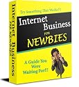 Internet Business for Newbies (Internet Business for Newbies 1st Series)