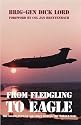 From Fledgling to Eagle: The South African Air Force in the South African Border War