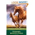 Stormy, Misty's Foal