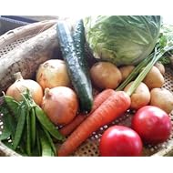 【送料無料】ミニ野菜セット　７種類　有機肥料、農薬・化学肥料不使用の野菜