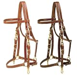Tory Leather Halter/Bridle Combination