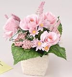 ���G�}�A�[�g�t�����[�@�`�Q�T�P�U�|�Q�O�@