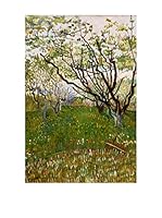 Especial Arte Lienzo Frutetto Multicolor