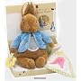 Activity Peter Rabbit 27cm