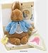 Activity Peter Rabbit 27cm